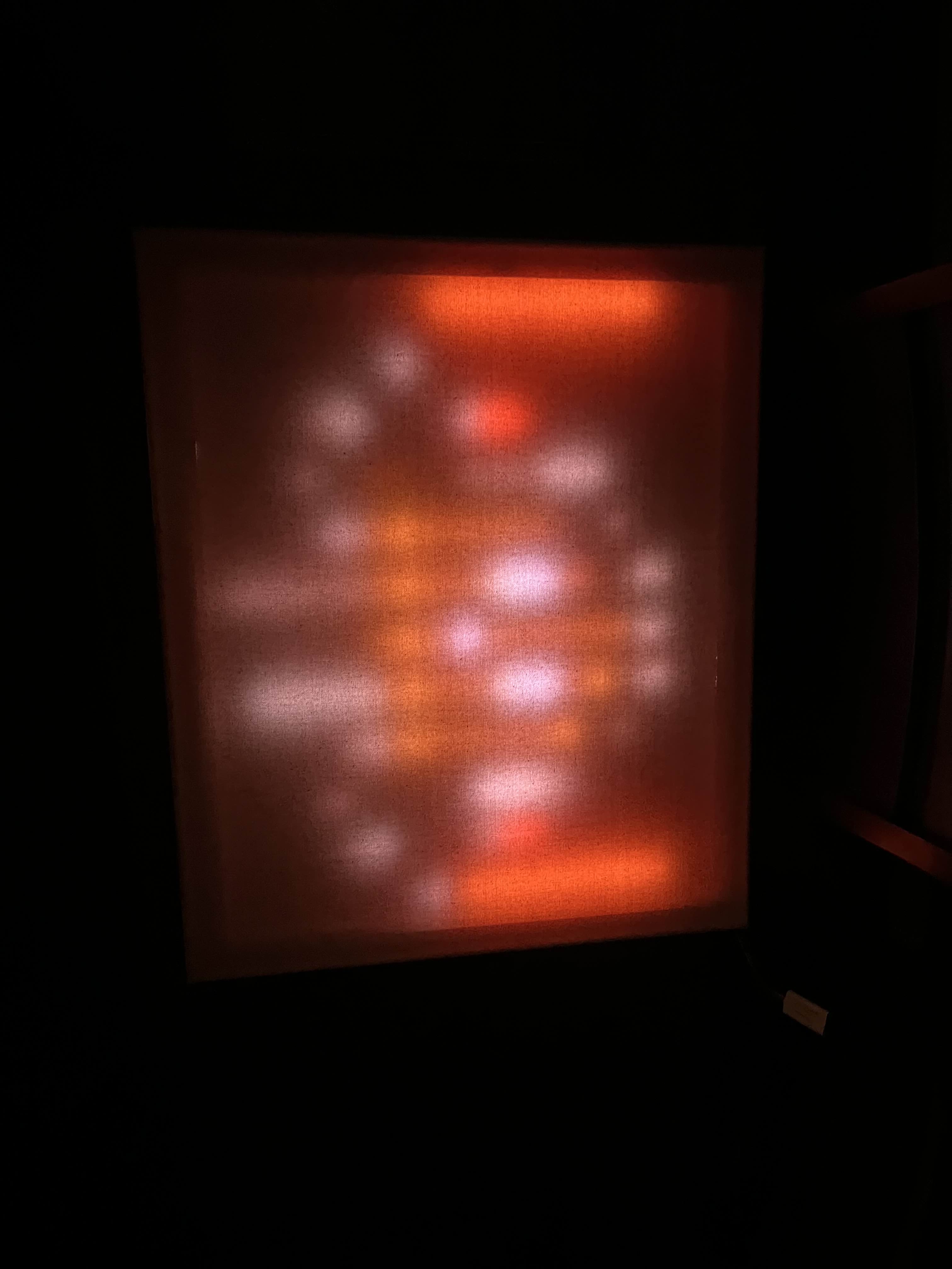 Images/moneky.jpg